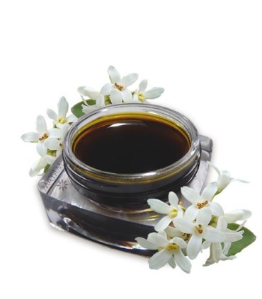 Absolut de Osmanthus (osmanthus fragrans) 1 ml