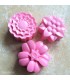 Soap mold, Garden