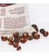 Soap nuts, organic*