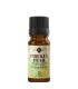 Prickly Pear seed oil virgin