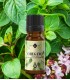 Oregano, ulei esenţial pur (origanum vulgare), 10 ml