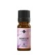 Biscuit Fragrance oil