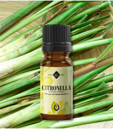 Citronella pure essential oil