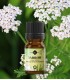 Yarrow pure essential oil