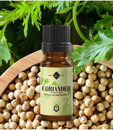 Coriander pure essential oil