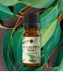 Eucalyptus Radiata pure essential oil