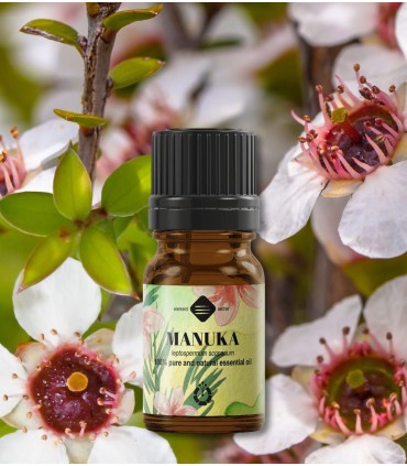 Manuka pure essential oil