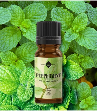 Mentă BIO ulei esenţial (mentha piperita)