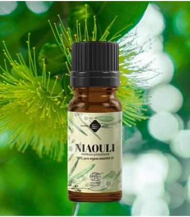 Niaouli BIO ulei esenţial (melaleuca quinquenervia) 10 ml