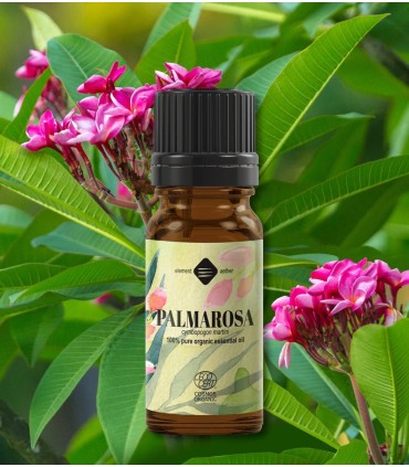 Palmarosa BIO ulei esenţial (cymbopogon martinii) 10 ml