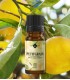 Petitgrain BIO ulei esenţial (bigaradier citrus aurantium) 10 ml