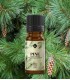 Pin silvestru BIO ulei esenţial (pinus sylvestris) 10 ml