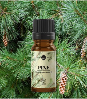 Pin silvestru BIO ulei esenţial (pinus sylvestris) 10 ml