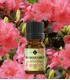 Azalee BIO ulei esenţial (rhododendron anthopogon) 5 ml