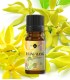 Ylang-Ylang BIO, ulei esenţial (cananga odorata)