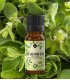 Marjoram pure essential oil