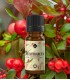 Wintergreen essential oil (gaultheria procumbens)