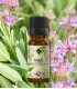 Salvie ulei esenţial pur (salvia officinalis) 10 ml