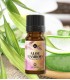 Natural cosmetic fragrance oil "Aloe Bamboo"