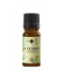 Blue Tansy pure essential oil