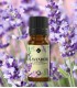 Lavender, pure essential oil (lavandula angustifolia)