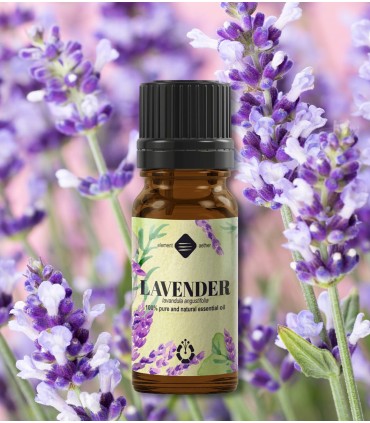 Lavender, pure essential oil (lavandula angustifolia)