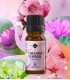 Paradise Flower Fragrance oil