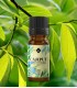 Cajeput BIO ulei esenţial (melaleuca leucadendron) 10 ml