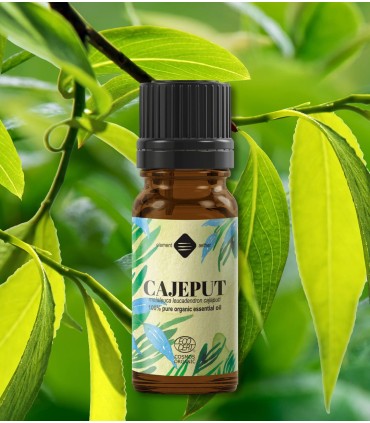 Cajeput BIO ulei esenţial (melaleuca leucadendron) 10 ml