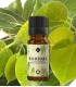 Ravintsara essential oil