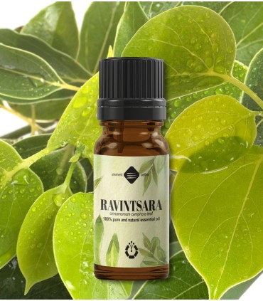 Ravintsara essential oil