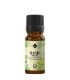 Basil sweet pure essential oil