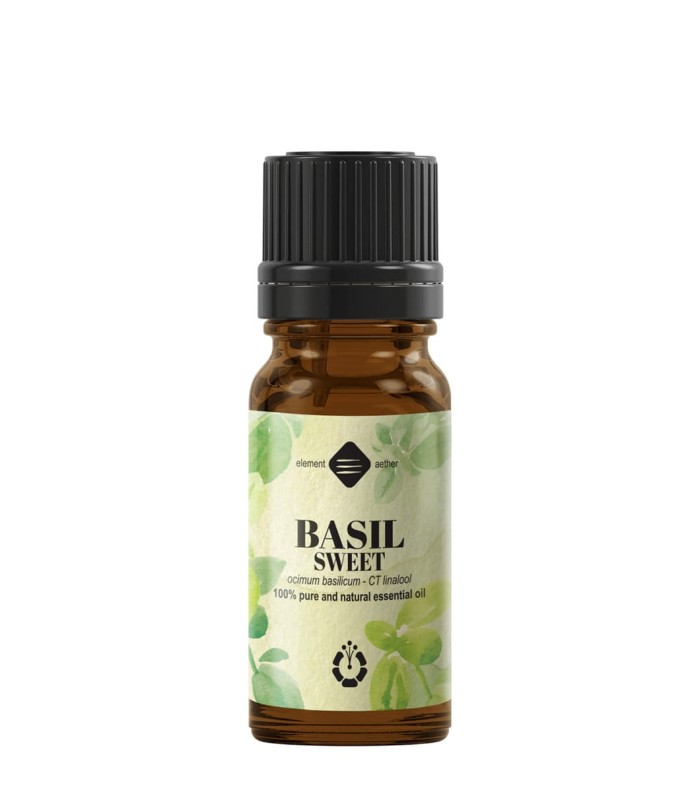 Basil sweet pure essential oil