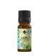 Cajeput BIO ulei esenţial (melaleuca leucadendron) 10 ml