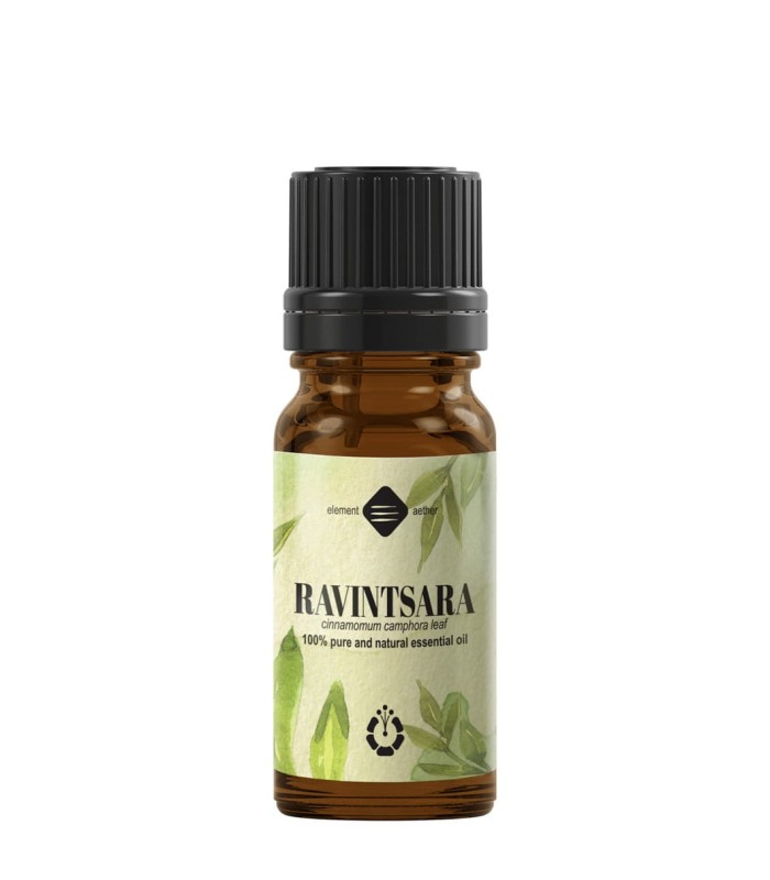 Ravintsara essential oil