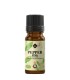 Pink Peppercorn pure essential oil