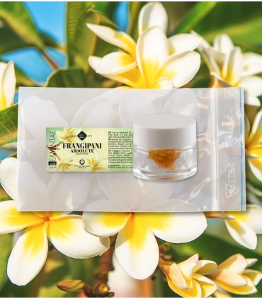 Absolut de Frangipani (plumeria acutifolia) 1 gr