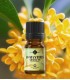 Absolut de Osmanthus (osmanthus fragrans) 1 ml