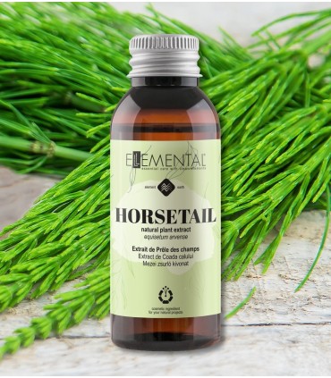 Horsetail extract