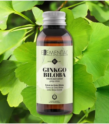 Ginkgo biloba extract