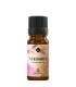 Natural fragrance oil Massoia