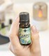 Cajeput BIO ulei esenţial (melaleuca leucadendron) 10 ml