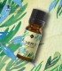 Cajeput BIO ulei esenţial (melaleuca leucadendron) 10 ml