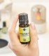 Citronella pure essential oil