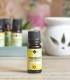 Citronella pure essential oil