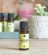 Coriander pure essential oil