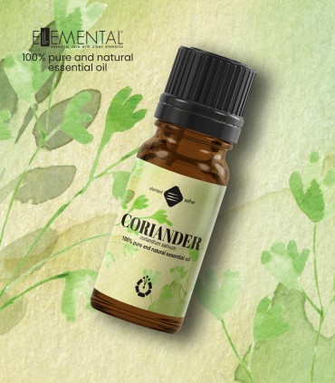 Coriander pure essential oil