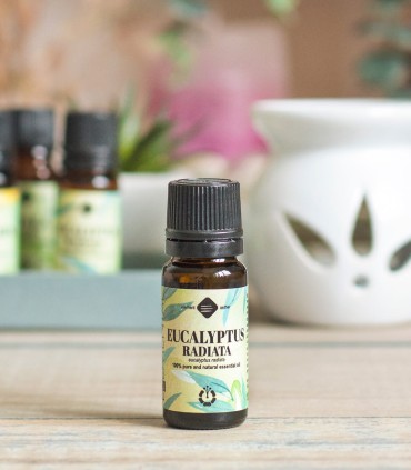 Eucalyptus Radiata pure essential oil