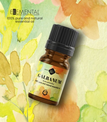 Galbanum pure essential oil (ferula galbaniflua)