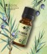 Juniper pure essential oil